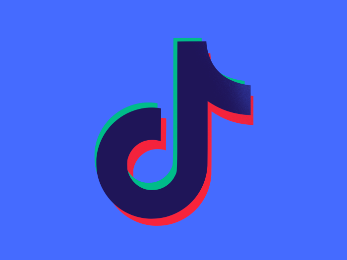 How To Make An App Like TikTok: Development Guide