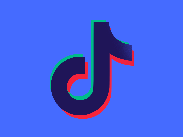 How To Make An App Like TikTok: Development Guide 0